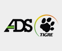 TIGRE Ads TIGRE Ads